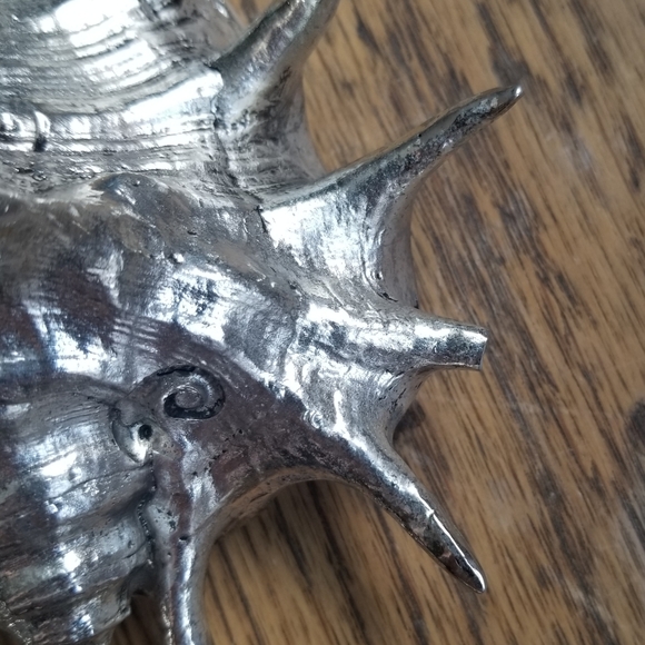 Silver Shell Decor - Picture 4 of 4